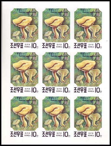 Korea PDR 1991 Mushrooms Fungi Set 5v Mnh Sheetlet of 9 Imperfs