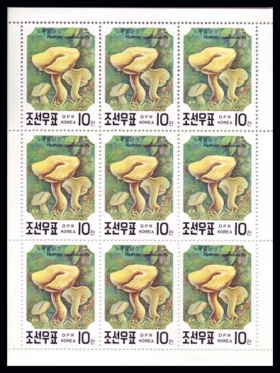 Korea PDR 1991 Mushrooms Fungi Set 5v Mnh Sheetlet of 9
