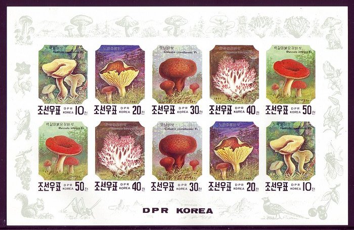 Korea PDR 1991 Mushrooms Imperf Mnh Sheetlet