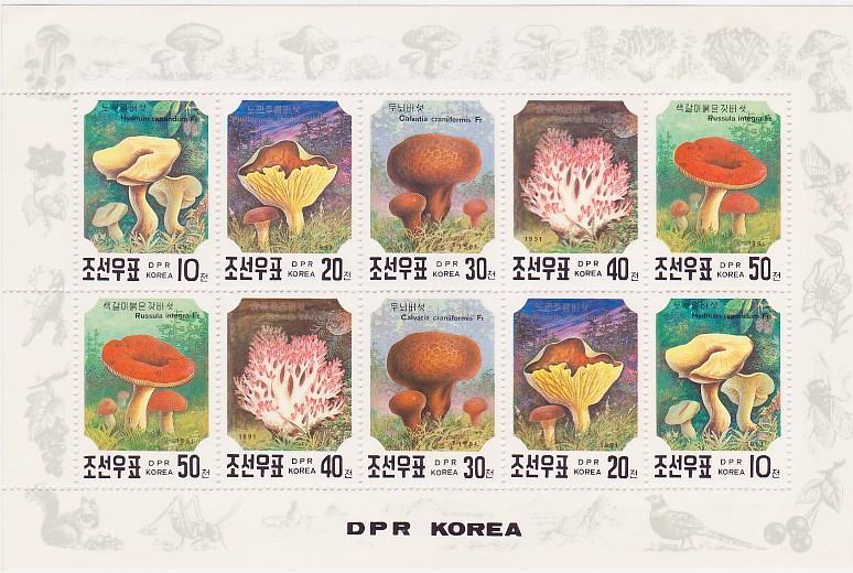 Korea PDR 1991 Mushrooms Perf Mnh Sheetlet