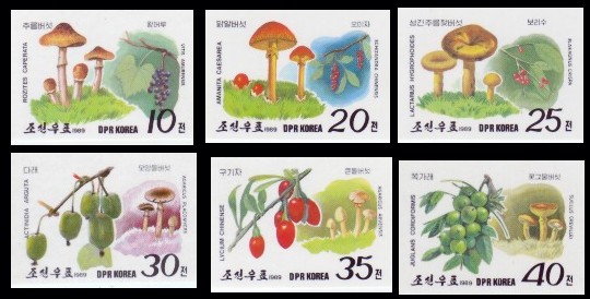 Korea PDR 1989 Mushrooms & Fruit & Fruit Imperf Mnh Set 6v