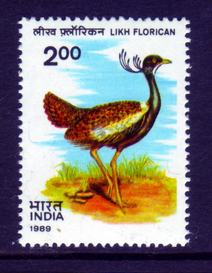 India #1306 Likh Florican 1v VF Mnh Birds Wildlife
